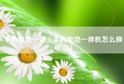 手机电池一体（手机电池一体机怎么换电池）