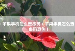 苹果手机怎么查串码（苹果手机怎么查串码真伪）