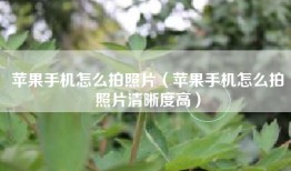 苹果手机怎么拍照片（苹果手机怎么拍照片清晰度高）