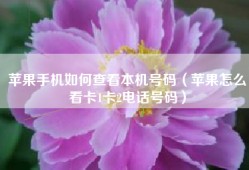 苹果手机如何查看本机号码（苹果怎么看卡1卡2电话号码）