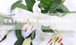 苹果手机新（苹果手机新手使用指南）