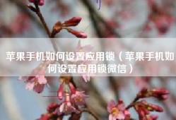 苹果手机如何设置应用锁（苹果手机如何设置应用锁微信）