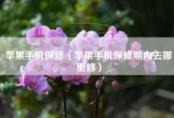 苹果手机保修（苹果手机保修期内去哪里修）