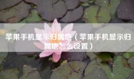 苹果手机显示归属地（苹果手机显示归属地怎么设置）