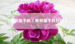 曲屏面手机（曲屏面手机好吗）