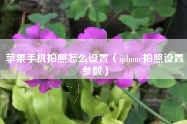 苹果手机拍照怎么设置（iphone拍照设置参数）