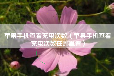 苹果手机查看充电次数（苹果手机查看充电次数在哪里看）