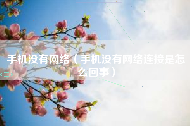 手机没有网络（手机没有网络连接是怎么回事）