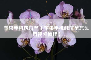 苹果手机触屏笔（苹果手机触屏笔怎么用视频教程）